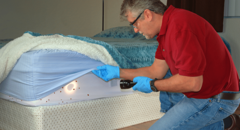 Mattress Encasements Prevent Bed Bugs