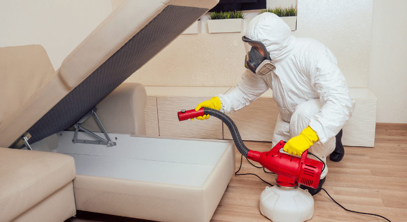 bed bug exterminator near me tulsa bed bug specialist