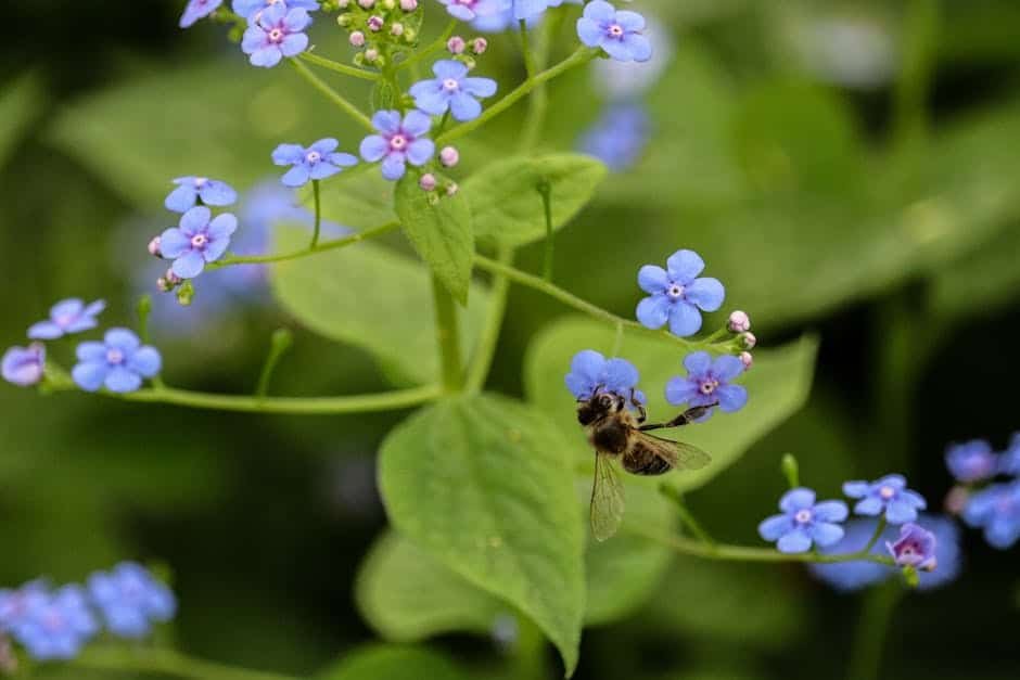 article db bef a d dabd featured