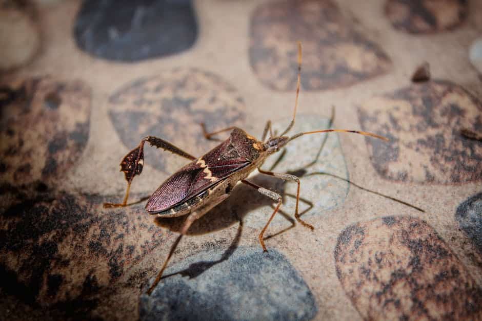 article ec ce be dc becce featured