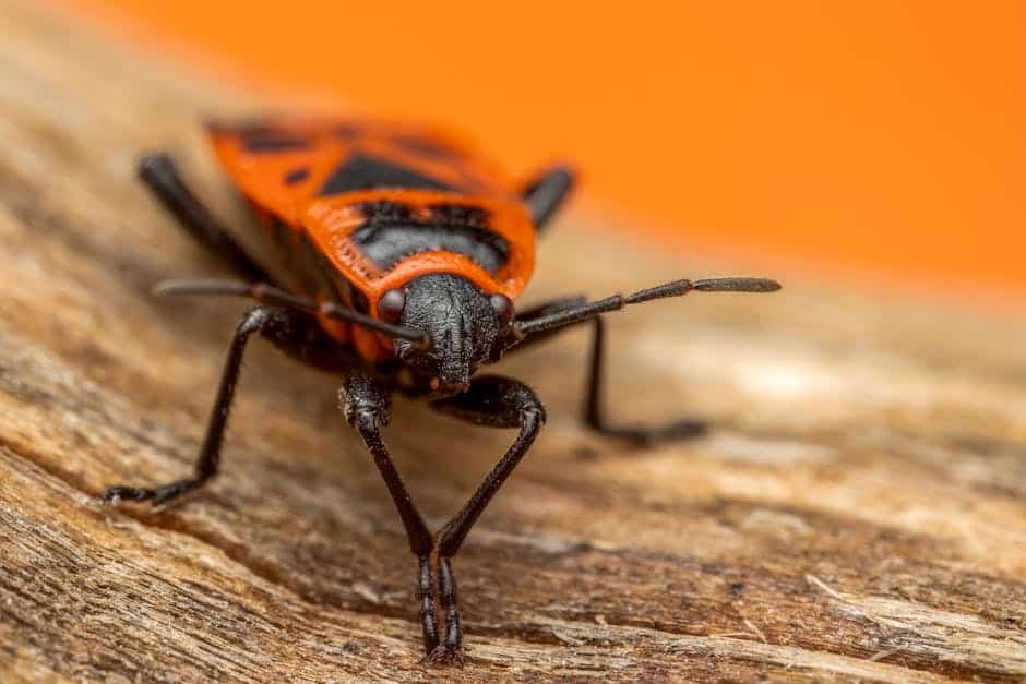 article aeaf ff b cca featured