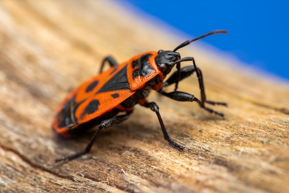 article dbcb cb e d afbdbf featured