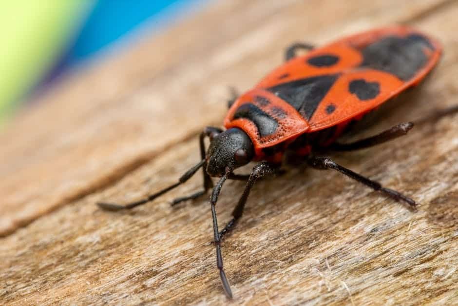 article f bd eedcbf featured