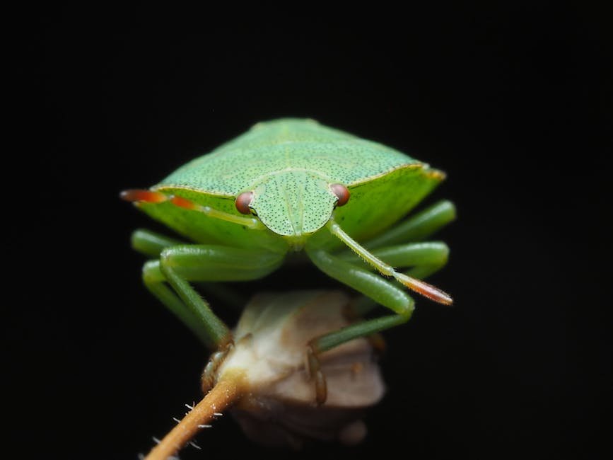 article bbd f c cdb featured