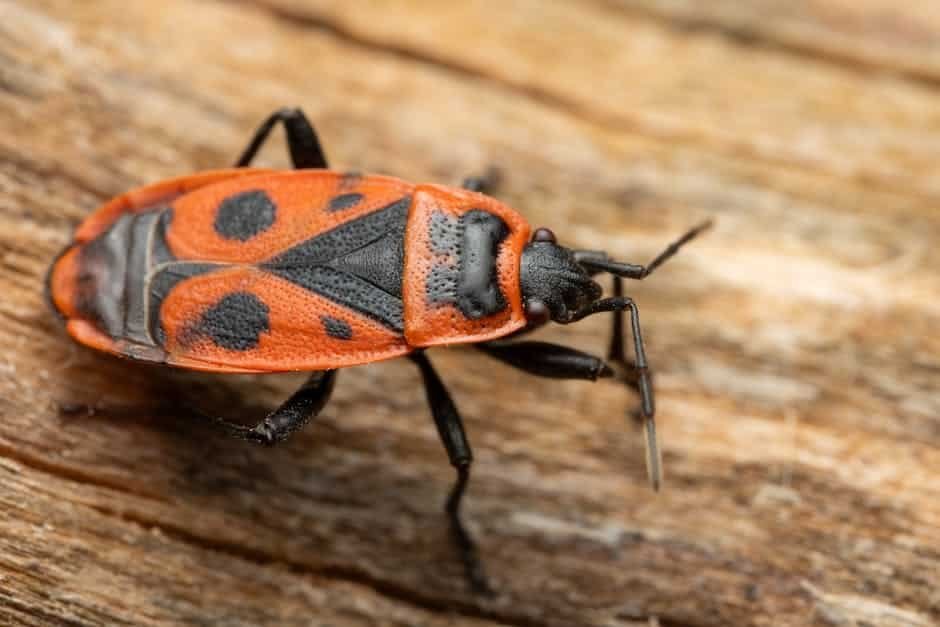 article accfd b a ccdf featured