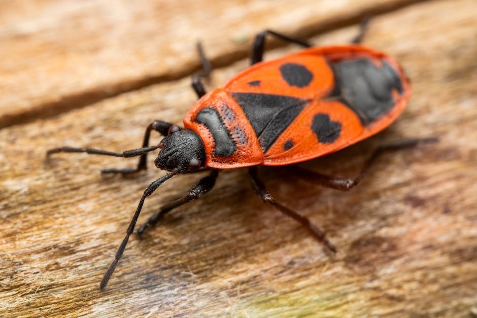 article ddb e a aae bacabf featured